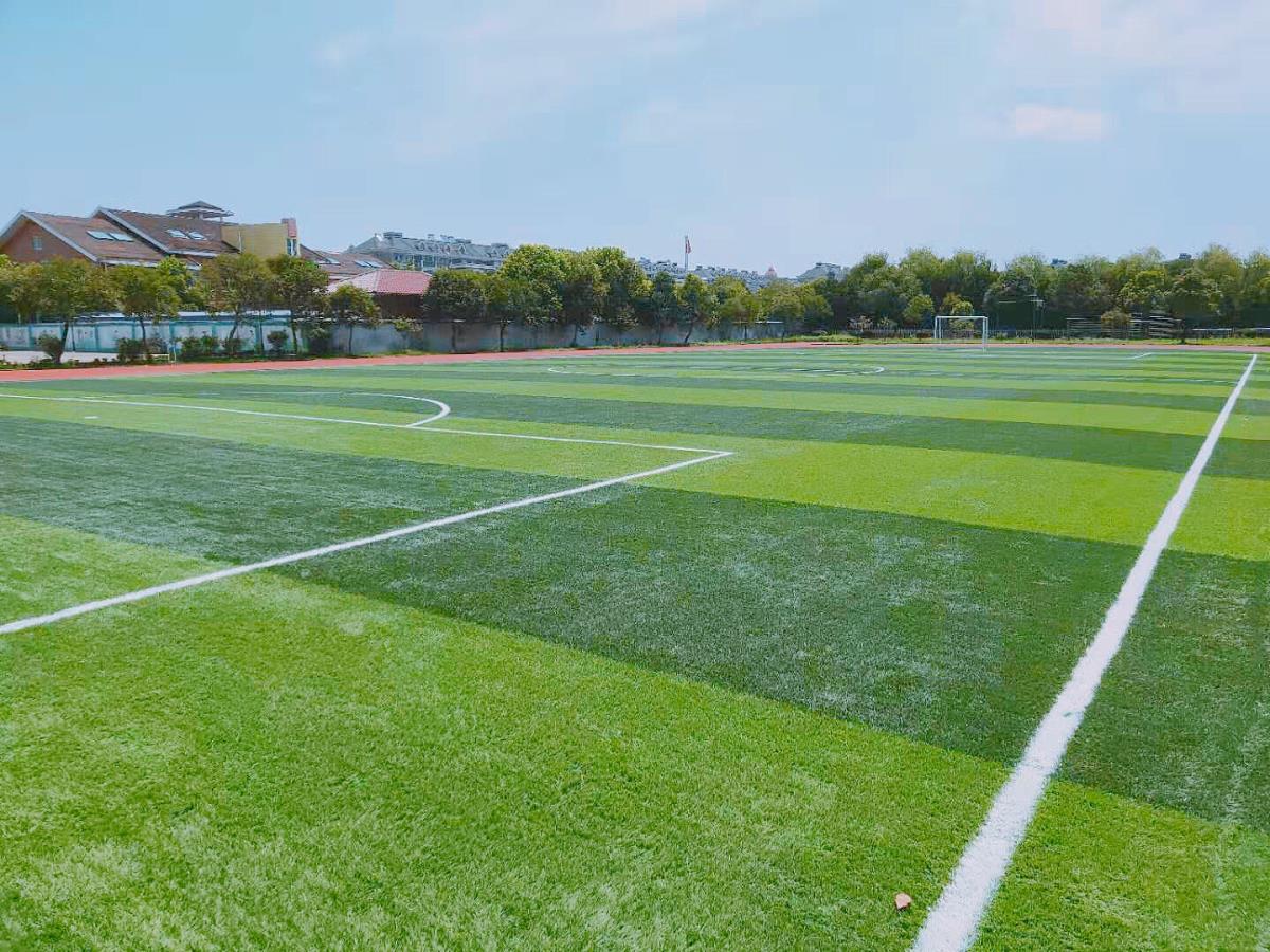 足球场草坪 - 人造草坪 - 天津华飞体育设施工程有限公司